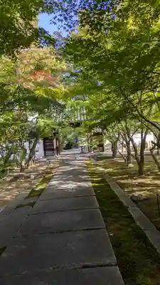 興聖寺(京都府)