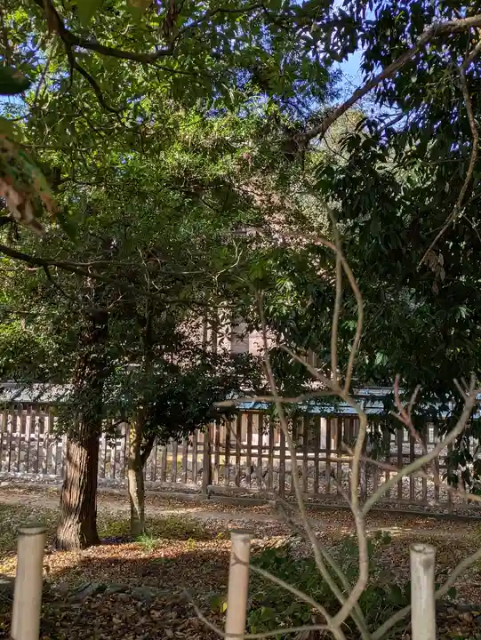 丹後一ノ宮 元伊勢 籠神社(京都府)