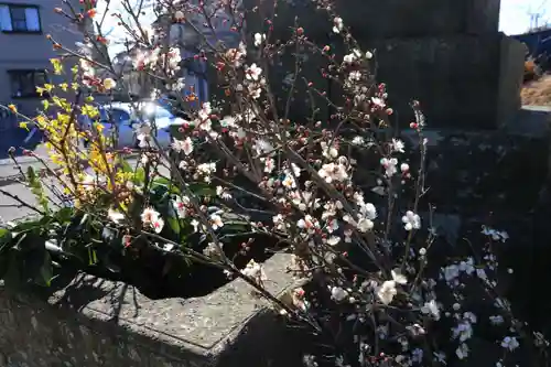 熊野福藏神社の手水舎
