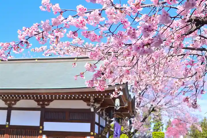 密藏院(埼玉県)