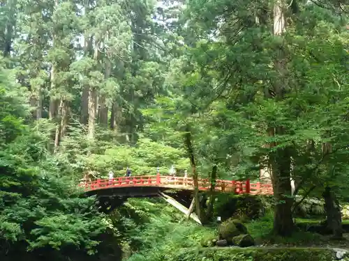 出羽神社(出羽三山神社)～三神合祭殿～の自然