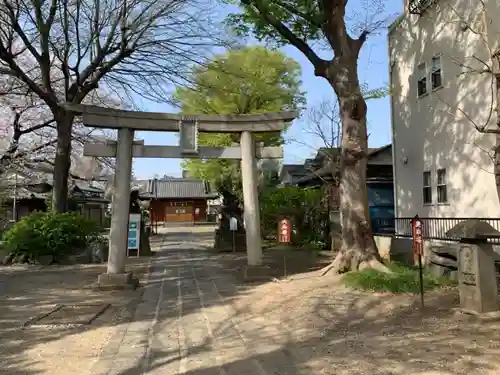 上戸田氷川神社の鳥居