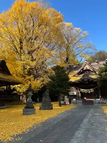 玉敷神社(埼玉県)