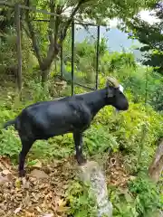 賀茂別雷神社の動物