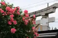 豊景神社の鳥居