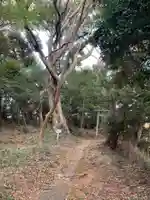 諏訪神社のその他建物