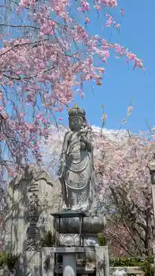 圓光寺(京都府)