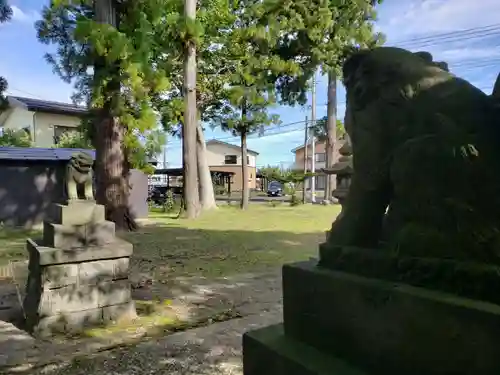 白山神社の狛犬