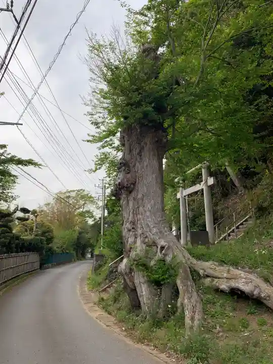稲荷神社(千葉県)