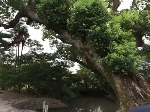 高伝寺(佐賀県)