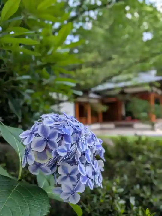 阿佐ヶ谷神明宮(東京都)
