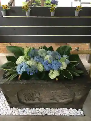 北広島市総鎮守 廣島神社の手水舎