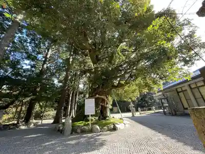 加茂神社(滋賀県)
