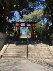 峯ヶ岡八幡神社の鳥居