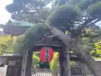 長谷寺の山門・神門