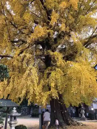 丹生酒殿神社の自然