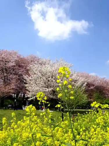 上高野神社(埼玉県)