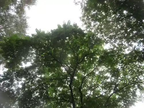 赤間神宮(栃木県)