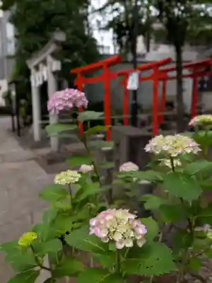 鳩森八幡神社(東京都)