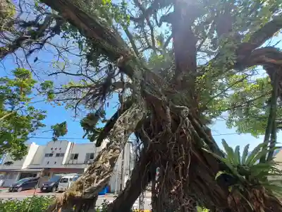 野島神社(宮崎県)