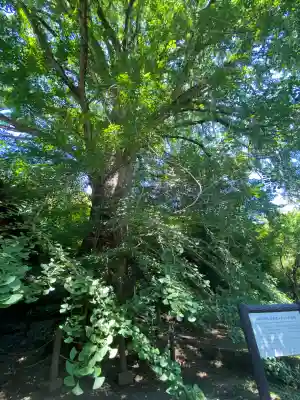 来迎院(奈良県)