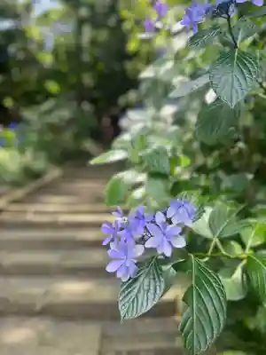 八幡神社(静岡県)