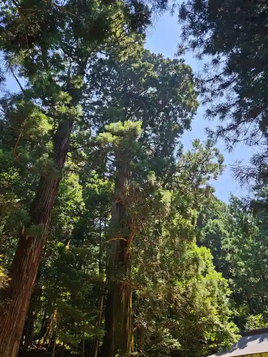 赤城神社(三夜沢町)(群馬県)