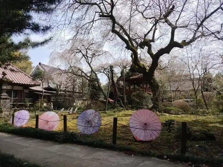 光丸山 法輪寺(栃木県)