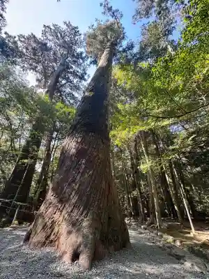 瀧原宮(皇大神宮別宮)の{uncategorized: "未分類", other: "その他", undefined: "問題あり", building: "その他建物", grave: "お墓", sacred_gate: "鳥居", guardian: "狛犬", statue: "像", buddha: "仏像", history: "歴史", nature: "自然", garden: "庭園", animal: "動物", pagoda: "塔", temizu: "手水舎", mountain_gate: "山門・神門", sanctuary: "本殿・本堂", subordinate: "末社・摂社", art: "芸術", scenery: "景色", jizo: "地蔵", ema: "絵馬", goshuin: "御朱印", omikuji: "おみくじ", items: "授与品その他", amulet: "お守り", goshuincho: "御朱印帳", eats: "食事", festival: "お祭り", votive_dance: "神楽", shichigosan: "七五三参", wedding: "結婚式", experience: "体験その他", initially: "初詣", around: "周辺", anti_infection: "感染症対策"}