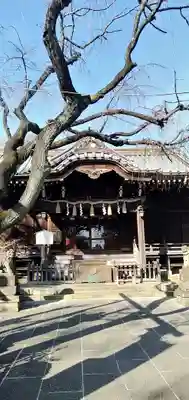 白山神社の本殿・本堂
