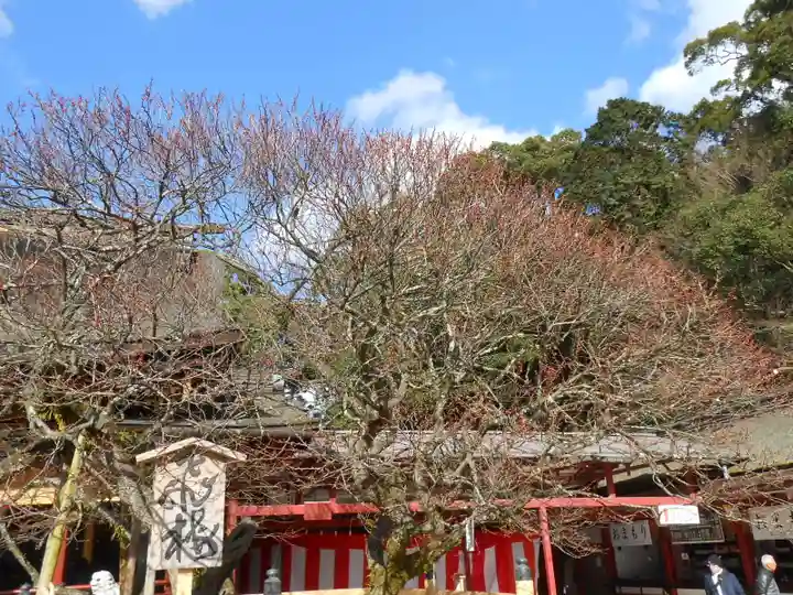 太宰府天満宮の自然