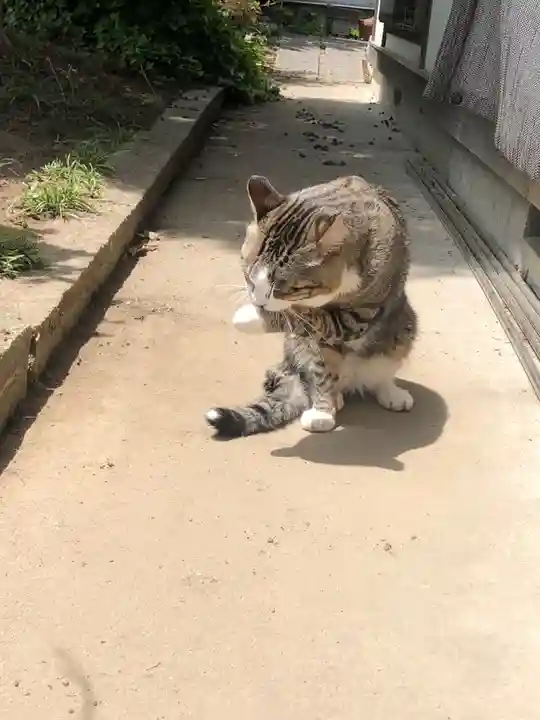 天麟院(宮城県)