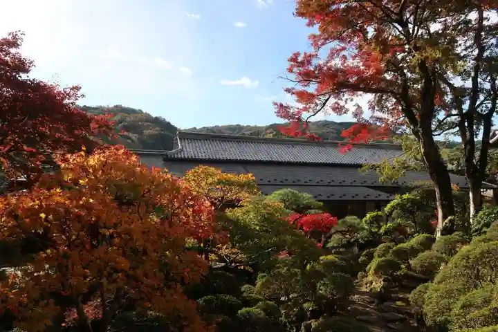 修禅寺(静岡県)
