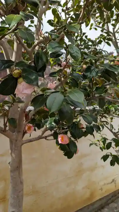 大松禅寺(京都府)