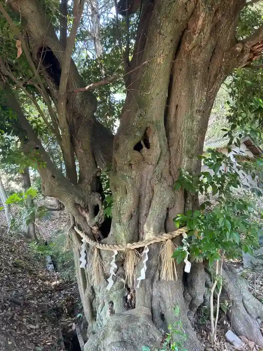 市杵嶋神社(兵庫県)