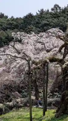 紹太寺(神奈川県)