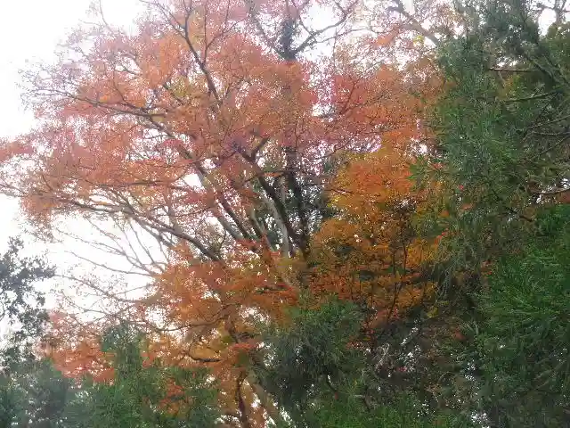 理智光寺跡(理智光寺址)<史跡>の景色