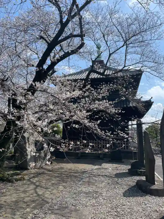 吉祥寺の{uncategorized: "未分類", other: "その他", undefined: "問題あり", building: "その他建物", grave: "お墓", sacred_gate: "鳥居", guardian: "狛犬", statue: "像", buddha: "仏像", history: "歴史", nature: "自然", garden: "庭園", animal: "動物", pagoda: "塔", temizu: "手水舎", mountain_gate: "山門・神門", sanctuary: "本殿・本堂", subordinate: "末社・摂社", art: "芸術", scenery: "景色", jizo: "地蔵", ema: "絵馬", goshuin: "御朱印", omikuji: "おみくじ", items: "授与品その他", amulet: "お守り", goshuincho: "御朱印帳", eats: "食事", festival: "お祭り", votive_dance: "神楽", shichigosan: "七五三参", wedding: "結婚式", experience: "体験その他", initially: "初詣", around: "周辺", anti_infection: "感染症対策"}