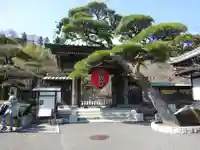 長谷寺(神奈川県)