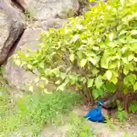 楽法寺(雨引観音)(茨城県)