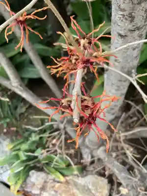 天寧寺(愛知県)