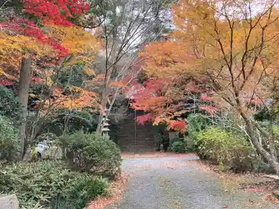 鷲峰寺(香川県)