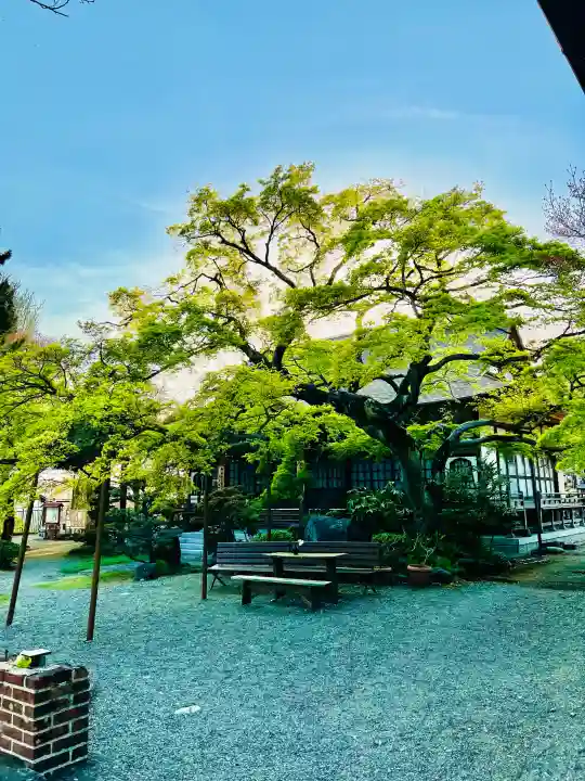 聖眼寺の{uncategorized: "未分類", other: "その他", undefined: "問題あり", building: "その他建物", grave: "お墓", sacred_gate: "鳥居", guardian: "狛犬", statue: "像", buddha: "仏像", history: "歴史", nature: "自然", garden: "庭園", animal: "動物", pagoda: "塔", temizu: "手水舎", mountain_gate: "山門・神門", sanctuary: "本殿・本堂", subordinate: "末社・摂社", art: "芸術", scenery: "景色", jizo: "地蔵", ema: "絵馬", goshuin: "御朱印", omikuji: "おみくじ", items: "授与品その他", amulet: "お守り", goshuincho: "御朱印帳", eats: "食事", festival: "お祭り", votive_dance: "神楽", shichigosan: "七五三参", wedding: "結婚式", experience: "体験その他", initially: "初詣", around: "周辺", anti_infection: "感染症対策"}