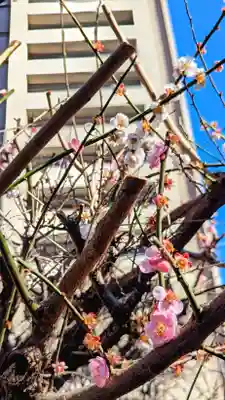 太上神社の自然