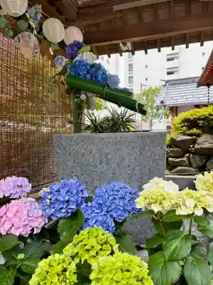 仙台大神宮(宮城県)