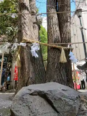 日本橋日枝神社の{uncategorized: "未分類", other: "その他", undefined: "問題あり", building: "その他建物", grave: "お墓", sacred_gate: "鳥居", guardian: "狛犬", statue: "像", buddha: "仏像", history: "歴史", nature: "自然", garden: "庭園", animal: "動物", pagoda: "塔", temizu: "手水舎", mountain_gate: "山門・神門", sanctuary: "本殿・本堂", subordinate: "末社・摂社", art: "芸術", scenery: "景色", jizo: "地蔵", ema: "絵馬", goshuin: "御朱印", omikuji: "おみくじ", items: "授与品その他", amulet: "お守り", goshuincho: "御朱印帳", eats: "食事", festival: "お祭り", votive_dance: "神楽", shichigosan: "七五三参", wedding: "結婚式", experience: "体験その他", initially: "初詣", around: "周辺", anti_infection: "感染症対策"}