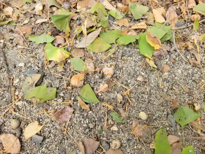 水天宮(愛媛県)