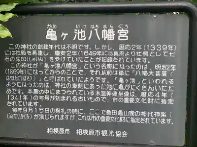 亀ケ池八幡宮の歴史