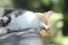 玉野御嶽神社の動物