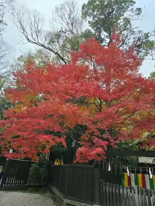 賀茂御祖神社(下鴨神社)(京都府)